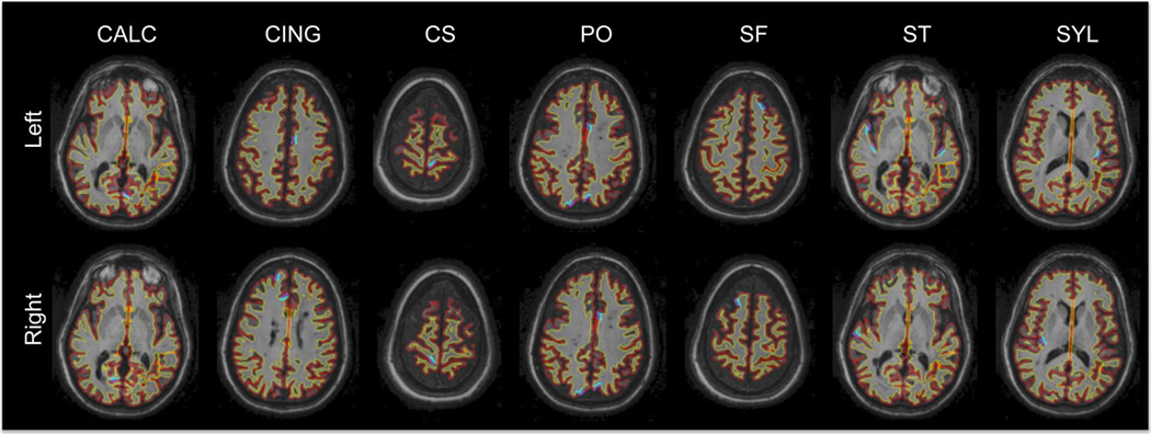 Fig. 7