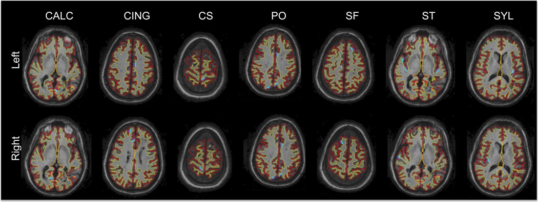 Fig. 8