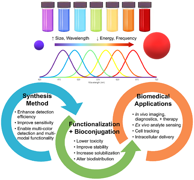 graphic file with name nihms-1529121-f0009.jpg