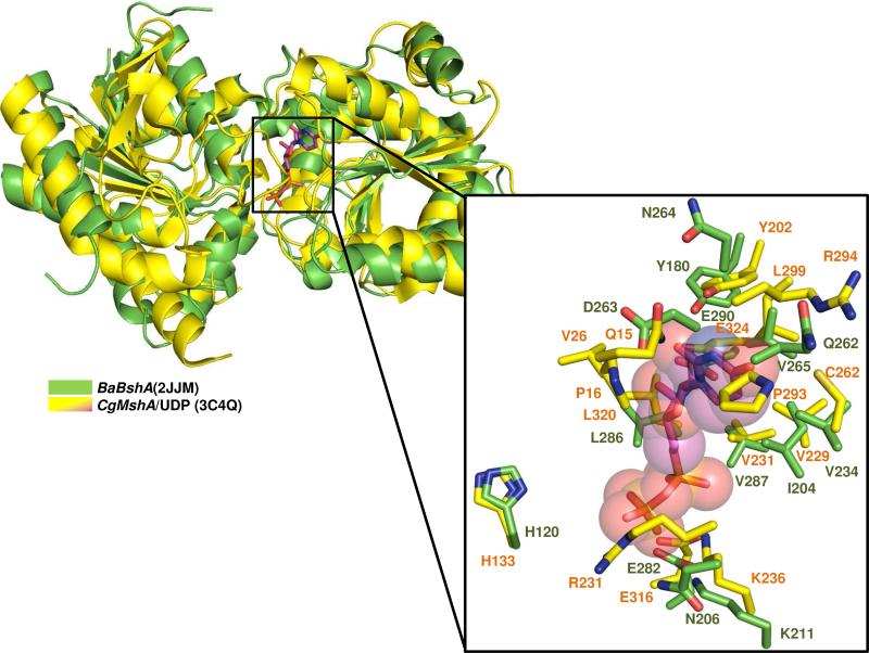 Figure 6