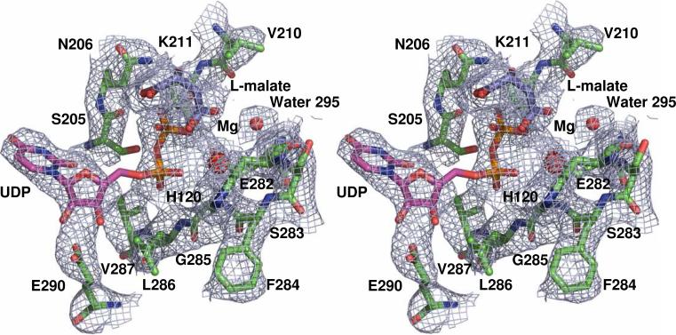 Figure 10