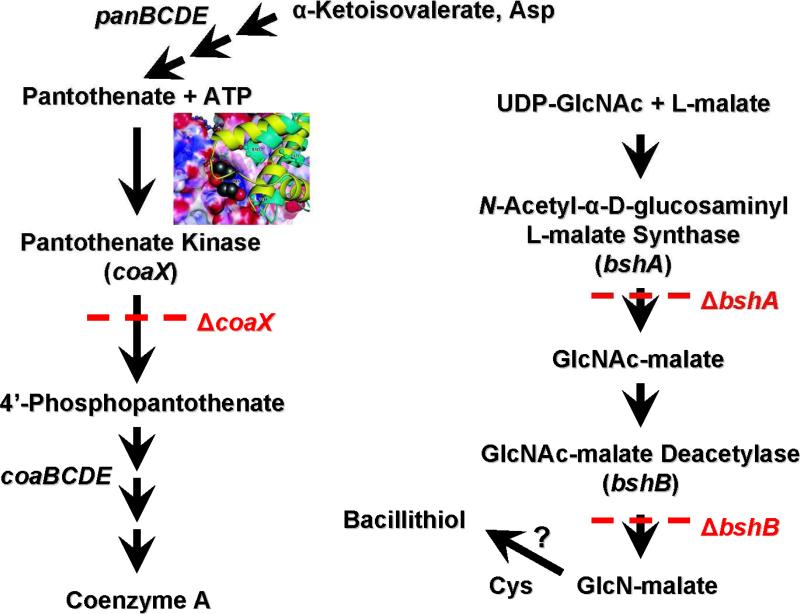 Figure 13