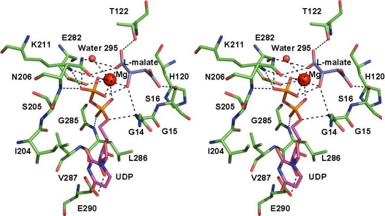 Figure 11