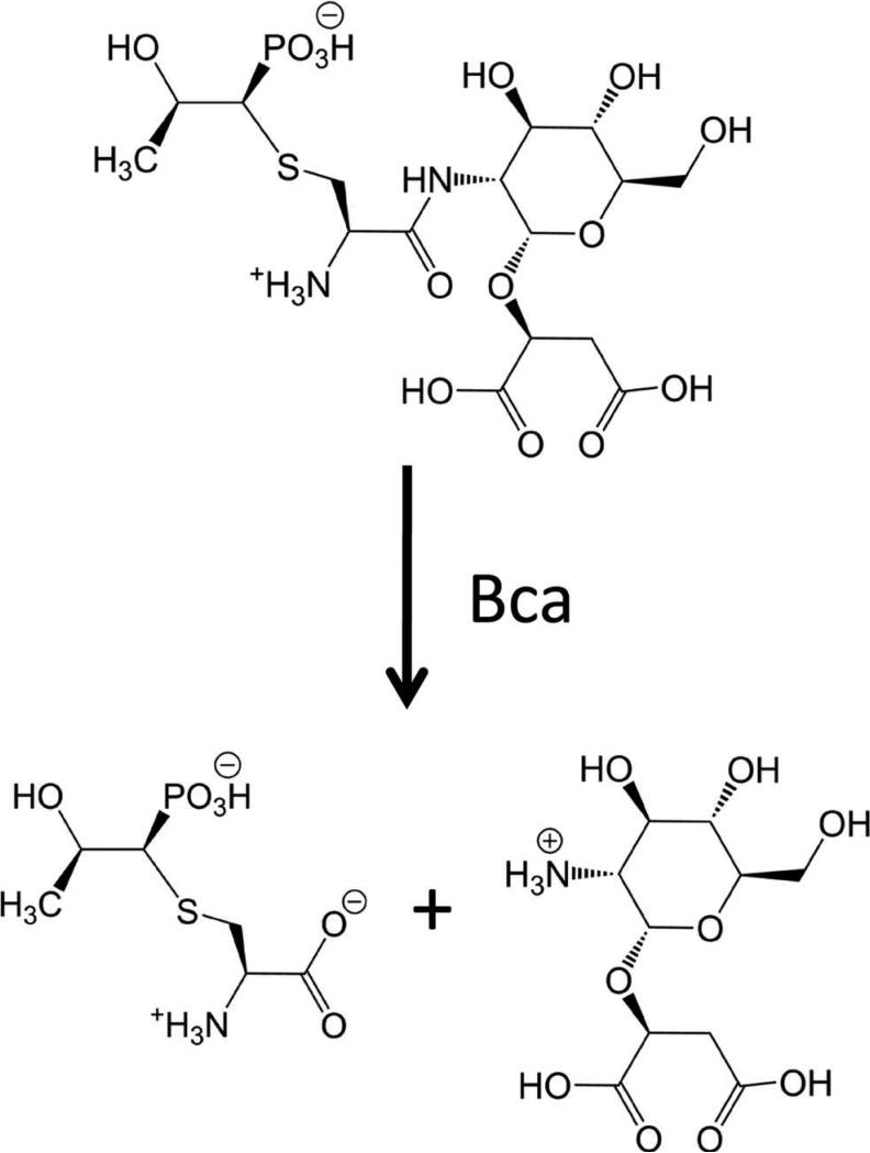 Scheme 3