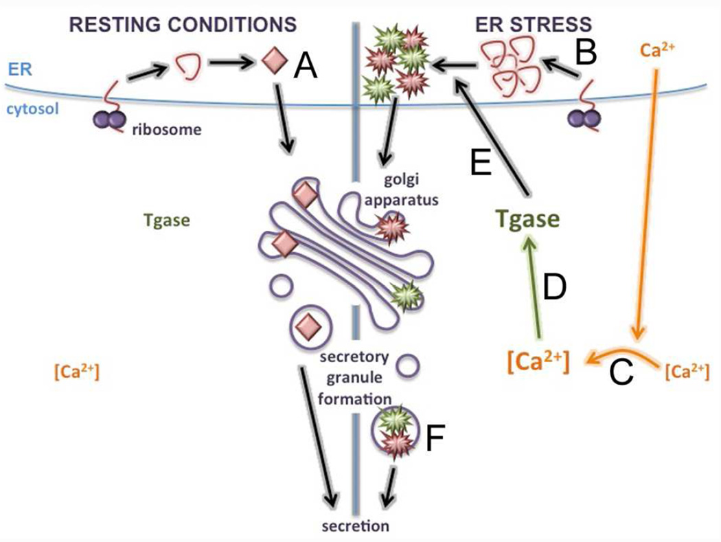 Fig. 9