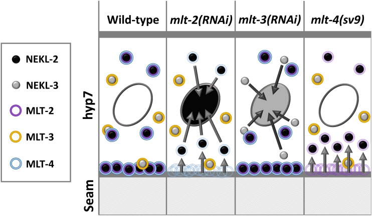 Figure 10