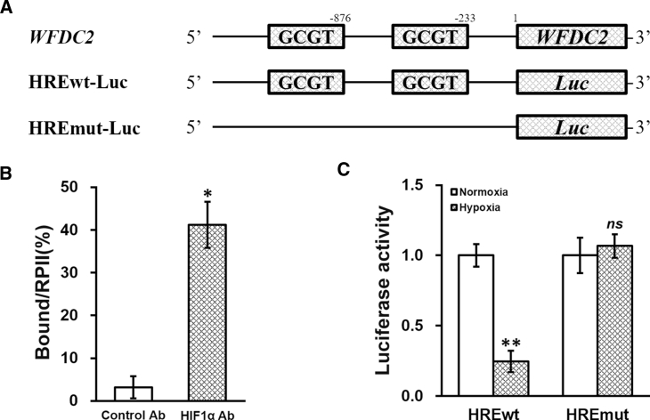 Figure 2