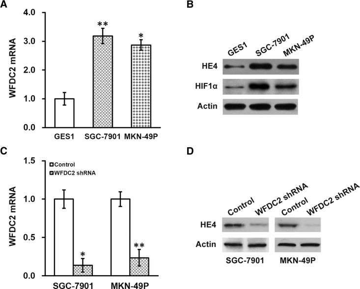 Figure 3