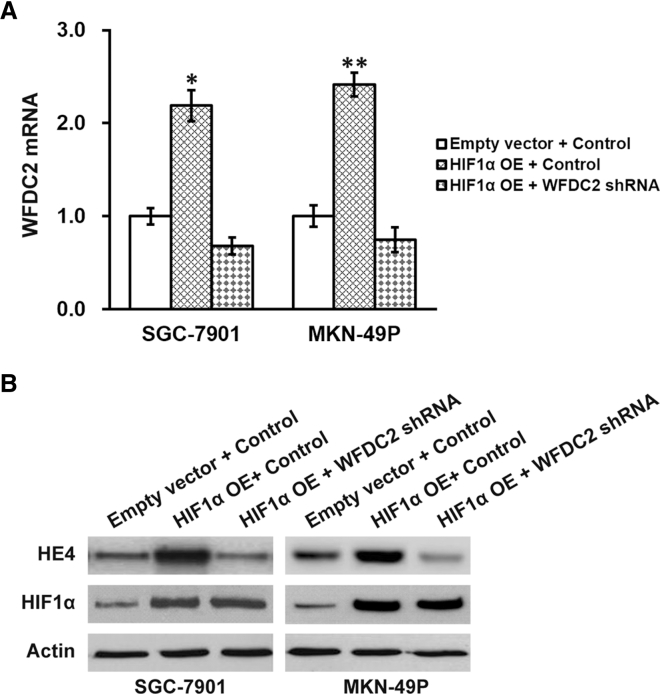 Figure 6