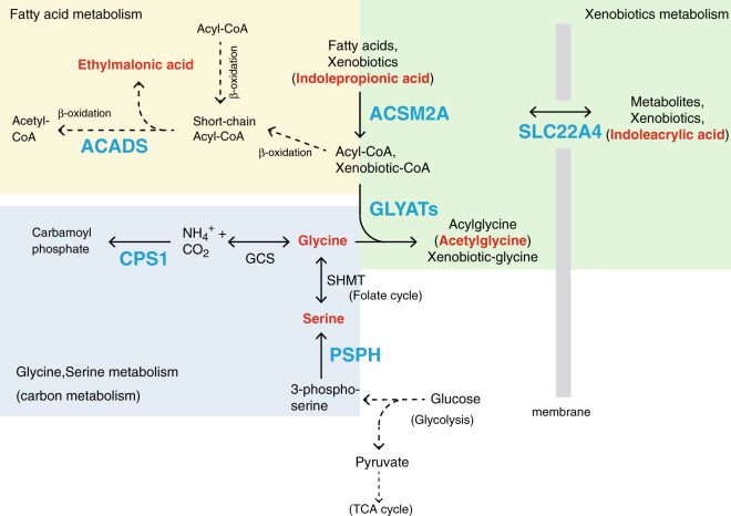 Fig. 3