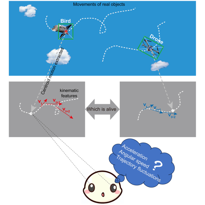 graphic file with name fx1.jpg