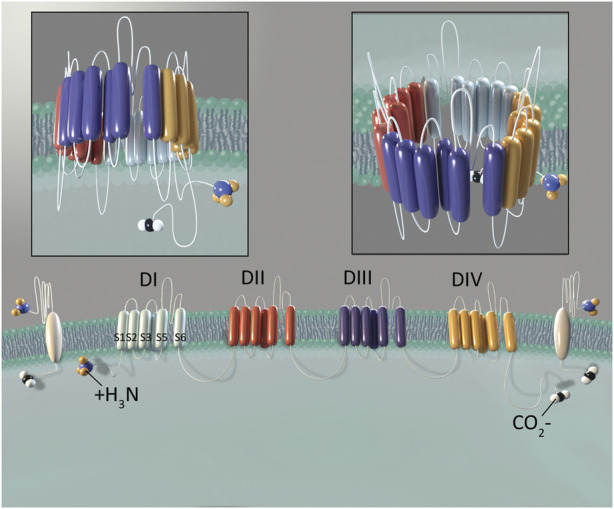 FIGURE 1