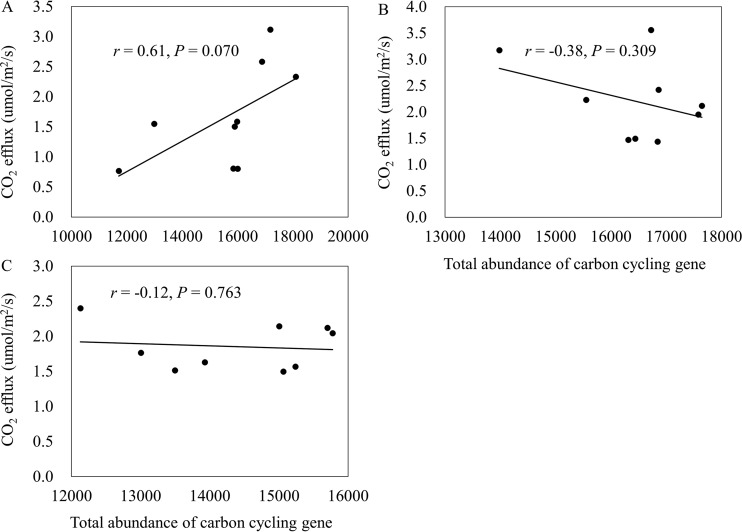 FIG 3 