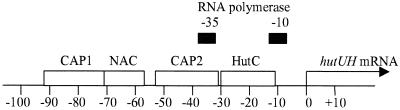 FIG. 6