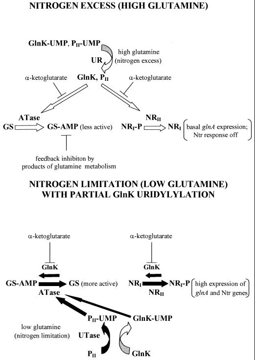 FIG. 5