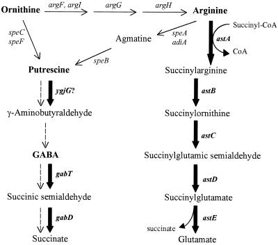 FIG. 7