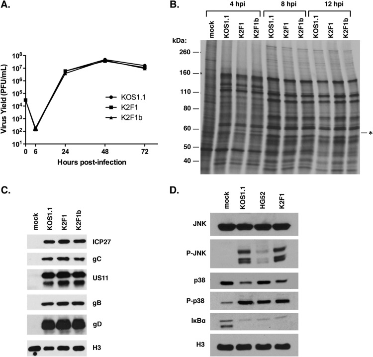 FIG 3