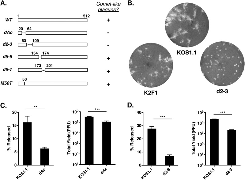 FIG 6