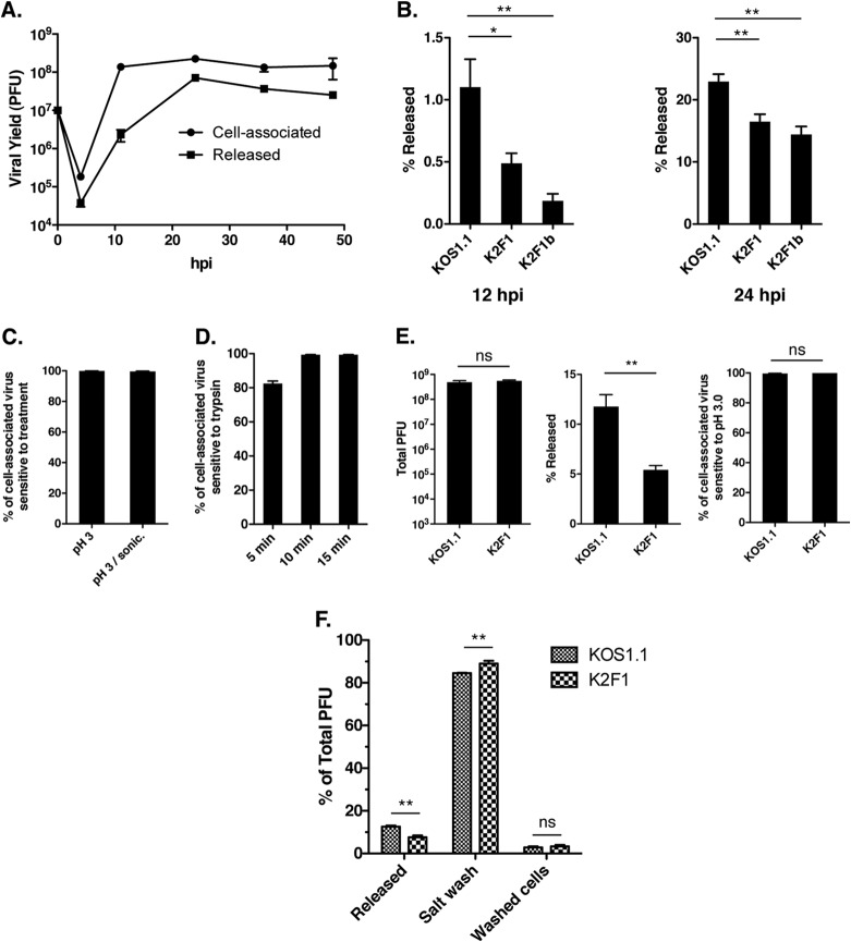 FIG 5