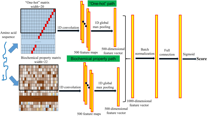 FIGURE 1