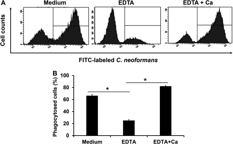 FIG 2