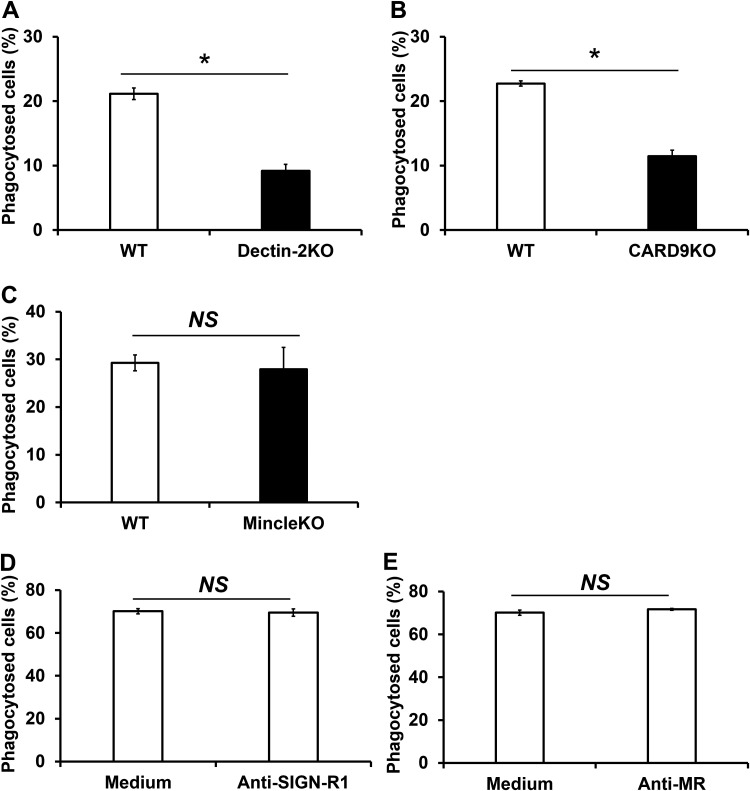 FIG 3