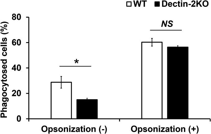 FIG 6