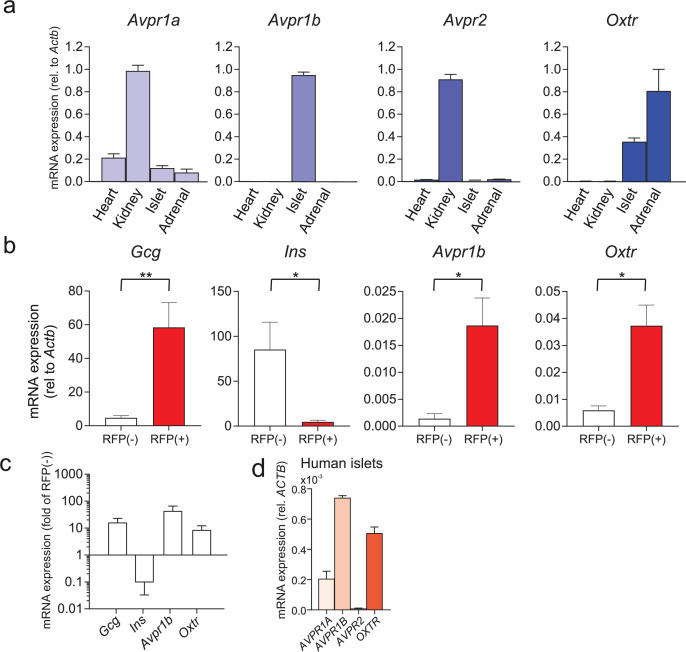 Figure 2—figure supplement 1.