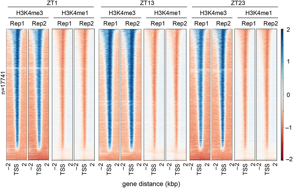 Figure 3.