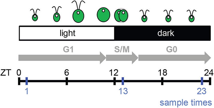 Figure1.