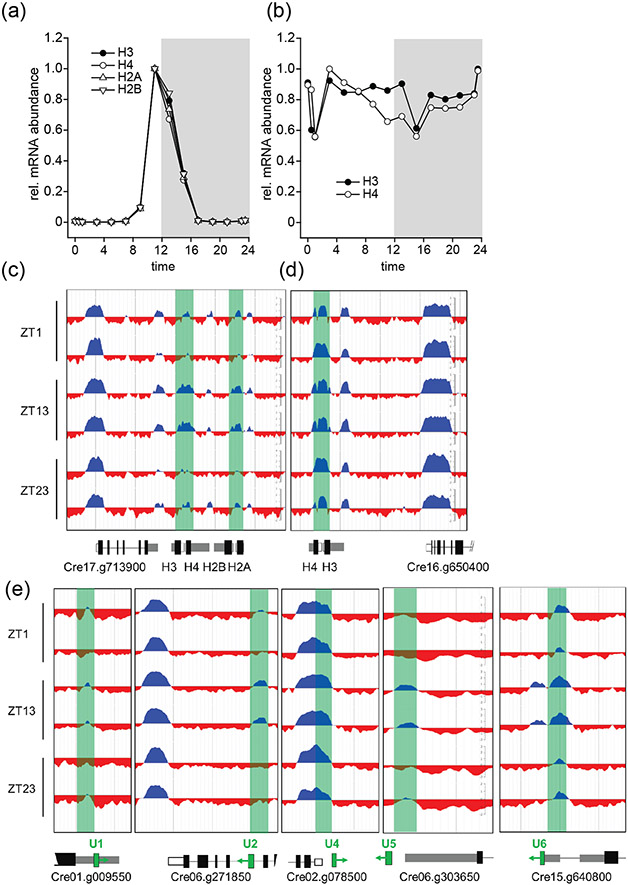 Figure 7.