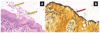 Figure 1 :