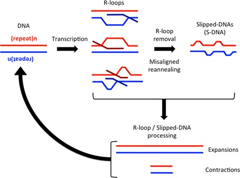 Figure 10.