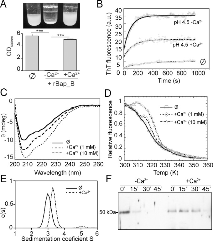 Fig 8