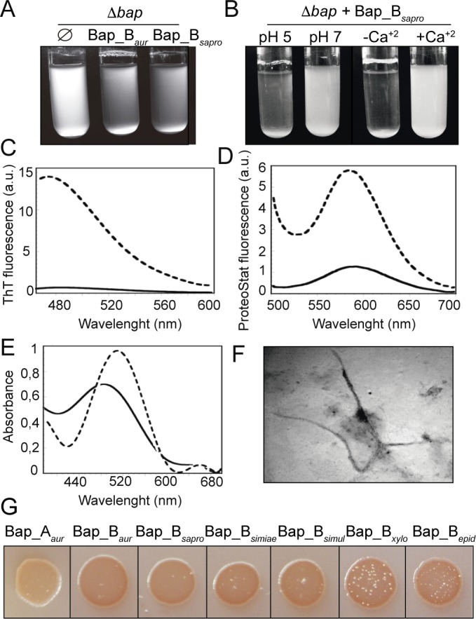 Fig 9