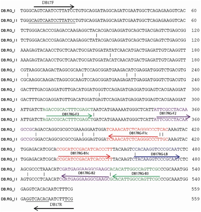 FIGURE 1