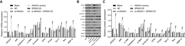 Figure 7