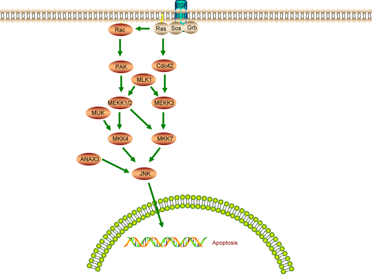 Figure 10