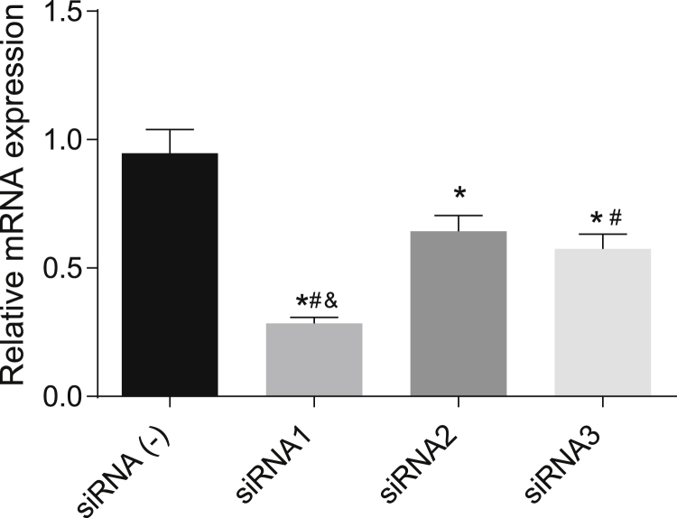 Figure 6