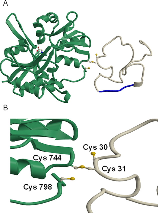 Figure 9.