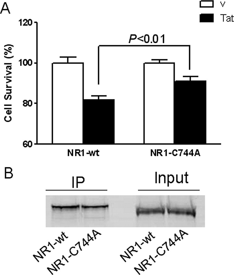 Figure 10.