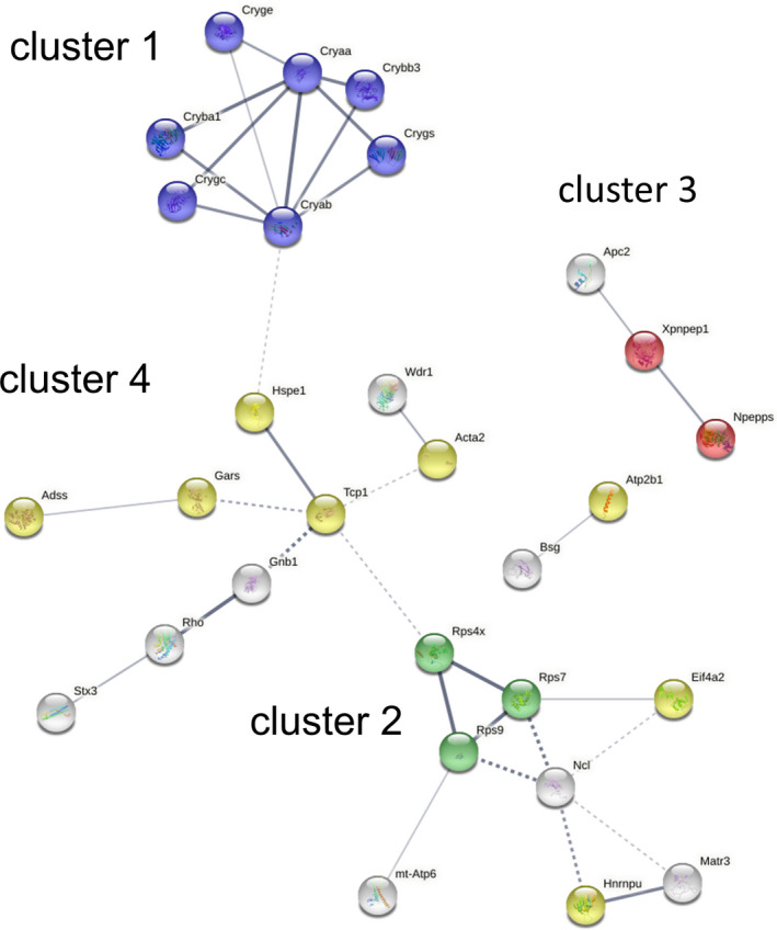 FIGURE 2