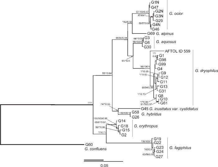 Fig. 1