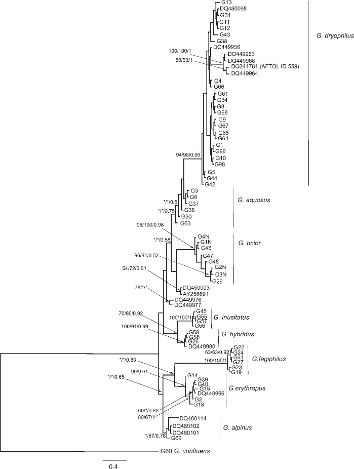 Fig. 2