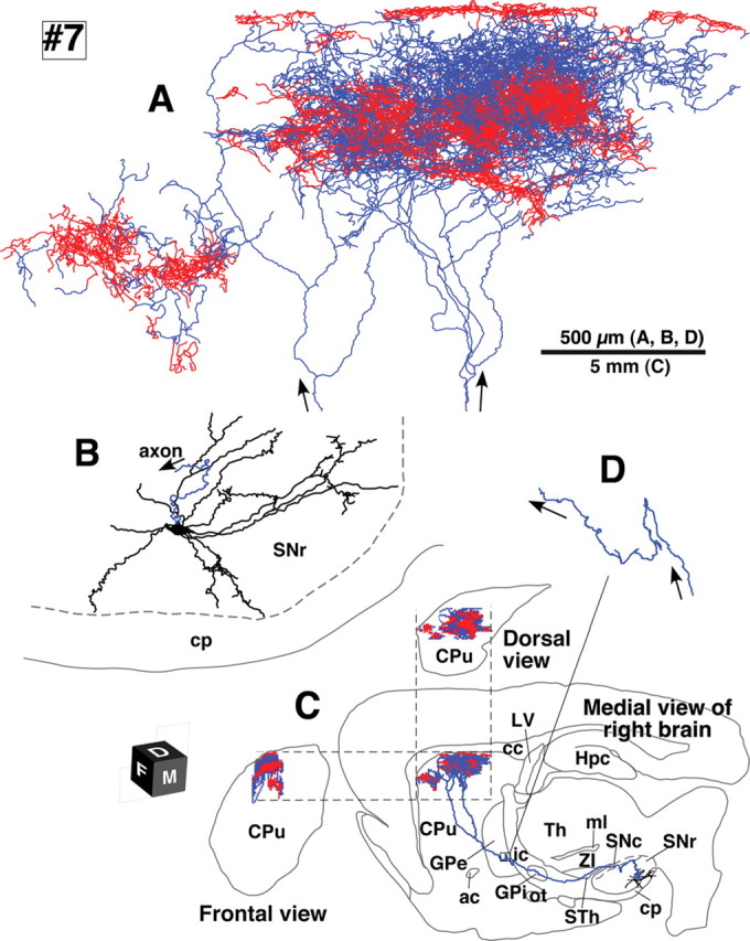 Figure 6.