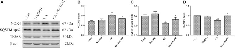 FIGURE 4