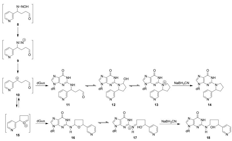 Scheme 2