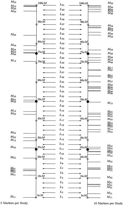 Figure  3