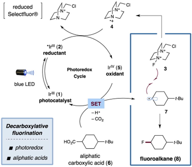 Scheme 1