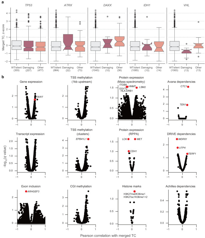 Figure 1—figure supplement 5.